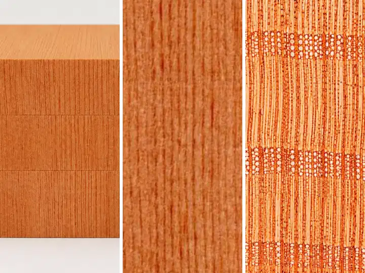 Profil + textura + structura Duglas
