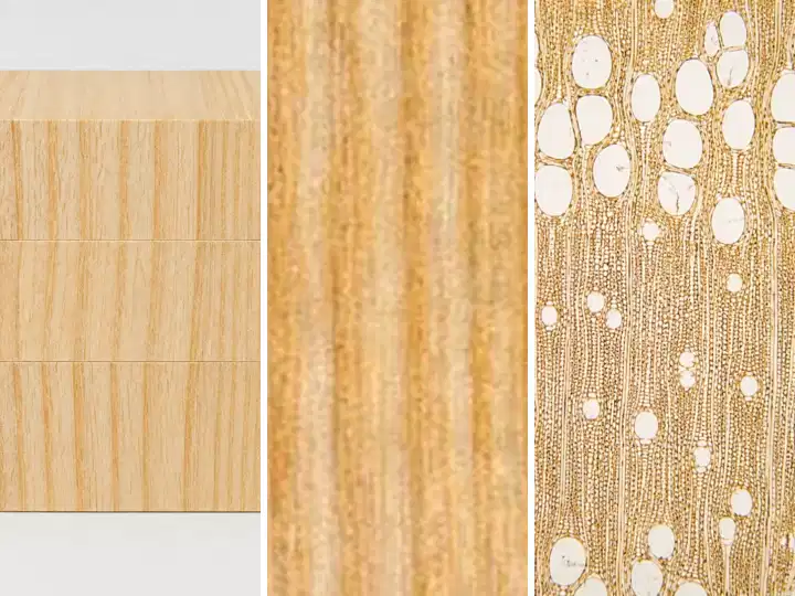 Profil + textura + structura Frasin