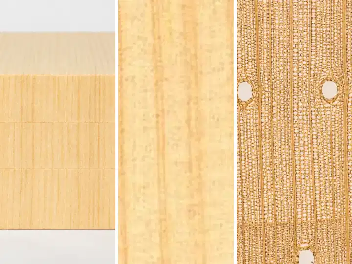 Profil + textura + structura Molid